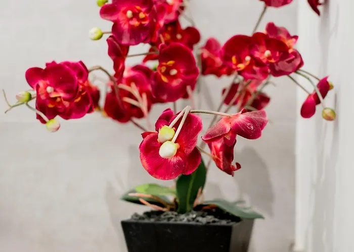 Park View In Appartement